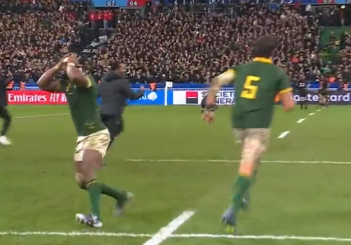 Video L Explosion De Joie Des Springboks Au Coup De Sifflet Final