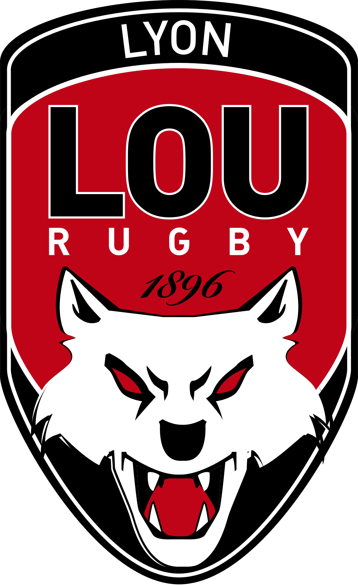 Olivier Magne analyse la situation du Rugby Club Toulonnais Blog RCT